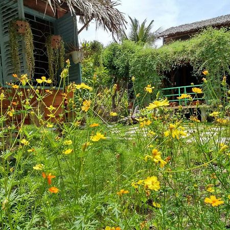 לונג האי Bach Cuc Homestay מראה חיצוני תמונה