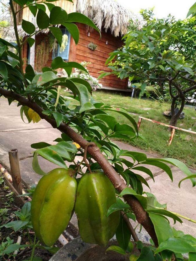 לונג האי Bach Cuc Homestay מראה חיצוני תמונה