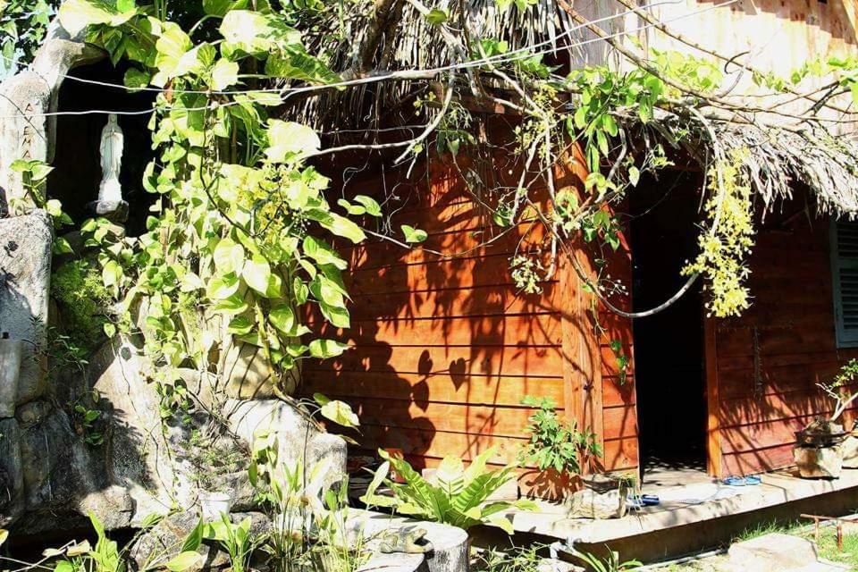 לונג האי Bach Cuc Homestay מראה חיצוני תמונה