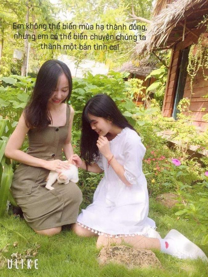 לונג האי Bach Cuc Homestay מראה חיצוני תמונה
