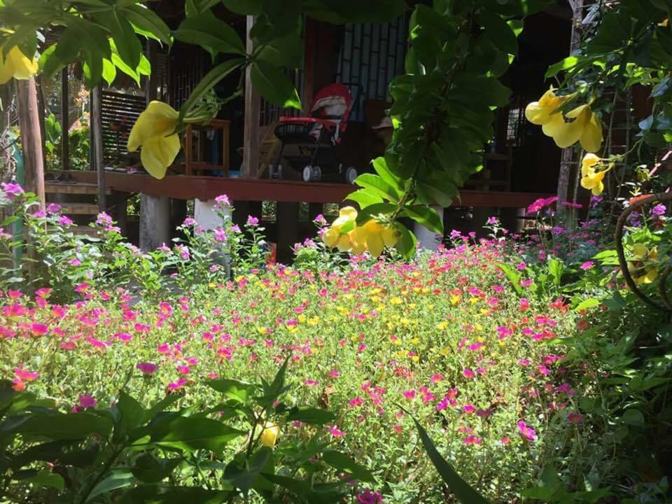 לונג האי Bach Cuc Homestay מראה חיצוני תמונה